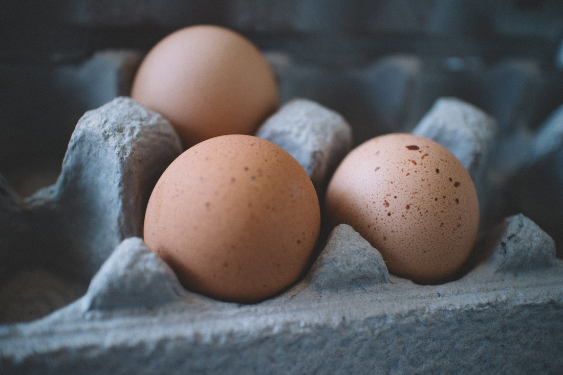 Protein Facts that Everyone Should Know About