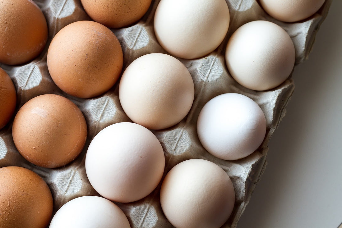 Egg White Nutrition Facts: Everything You Should Know