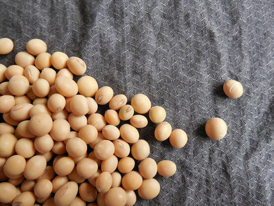The Facts About Soy: What You Should Know